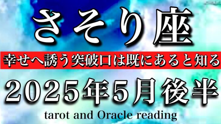 さそり座♏︎2025年5月後半 答えが出る💫突破口は既にあったと気づく🧚‍♂️Scorpio tarot reading
