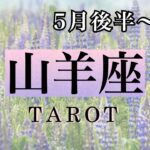 【山羊座♑️】2025年5月後半〜6月の流れ🔮タロットリーディング☆Tarot.