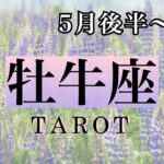 【牡牛座♉️】2025年5月後半〜6月の流れ🔮タロットリーディング☆Tarot.