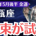 【水瓶座】2025年5月後半、みずがめ座、「頑張っても報われないあなたへ」札束が試す金運の真実