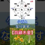 四緑木星、2025年6月の運勢、準備運、運気が開花し始める、縁の下の力持ち、#shorts