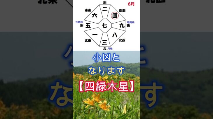 四緑木星、2025年6月の運勢、準備運、運気が開花し始める、縁の下の力持ち、#shorts