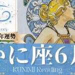 蟹座♋6月運勢✨冷静な判断と行動で問題解決する6月🌟現状🌟仕事運🌟恋愛・結婚運🌟ラッキーカラー🌟開運アドバイス🌝月星座かに座さんも🌟タロットルノルマンオラクルカード