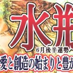【みずがめ座さん☆６月後半】守るべきものと自分の心の声と！自分らしさの解放からつながる豊かさへの成果！果てなく広がる創造力へ！