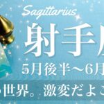 いて座♐️2025年5月後半〜6月前半🌝 ものすごい幕開け！もう幸せになっていい、現実化していく喜び、やっと掴んだこの感覚、遂にスタート