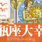 水瓶座♒一粒で二度美味しい大幸運🌞もうすぐ起こる大幸運🌞どんな？🌞いつ頃？🌝月星座みずがめ座さんも🌟タロットルノルマンオラクルカード