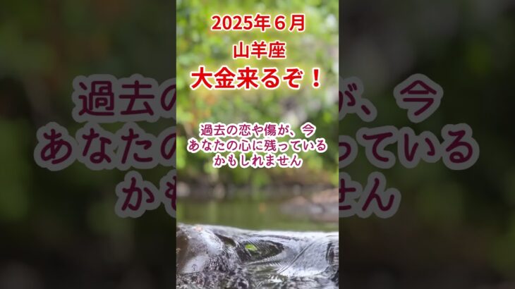 【山羊座】2025年6月やぎ座占い #山羊座 #やぎ座 #shorts