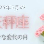 【天秤座さん♍︎】2025年5月の星座リーディング🌸🫧