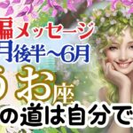 【続編】【うお座5月後半～6月】🌈自分の道を自分で道を選ぶことができます🌟あなたは無限の可能性を持っている🌈お仕事～守護者がすぐ側にいて見守っています🌈3択メッセージ