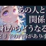 ⚠️ピリ辛の部分あり⚠️あの人との関係はこれからどうなる？占い💖恋愛・片思い・復縁・複雑恋愛・好きな人・疎遠・タロット・オラクルカード