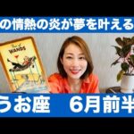 うお座♓️6月前半🔮心の情熱の炎が夢を叶える！🔥ワクワクの原動力が成功へ導く！！❤️‍🔥