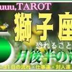 周りも味方ズンズン進んで💨獅子座♌️さん【5月後半の運勢✨16日〜31日の流れ・仕事運・対人運・注意点】#2025 #タロット占い #星座別