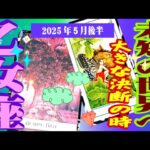 【乙女座♍️5月後半の運勢リーディング】転機です🎵癒しと大きな実りの時❤️🥰恋の季節がやって来る✨仕事人間関係恋愛アドバイス♪