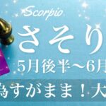 さそり座♏️2025年5月後半〜6月前半🌝 強すぎる！絶対何かあると思う。ここから激変、今迷ってたら必ず見て欲しいメッセージ