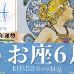 魚座♓6月運勢✨そのままのあなたが愛されていることに気づく6月🌟現状🌟仕事運🌟恋愛・結婚運🌟ラッキーカラー🌟開運アドバイス🌝月星座うお座さんも🌟タロットルノルマンオラクルカード