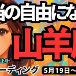 【山羊座】♑️2025年5月19日の週♑️本当の自由を求めて🍃あたたかい仲間の応援の中😊新しいステージに進む🌈やぎ座。タロットリーディング🍀