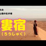 《新・宿曜占法》二十七宿の生き様！　第十七回目は、婁宿について…