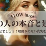 【恋愛占い/忖度なし】ハッキリさせましょう！嘘偽りのない真実を赤裸々告白！あの人の本音と建前（一部辛口あり🌶️）【タロット占い・オラクルカード・カードリーディング】