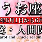 【うお座♓︎恋愛・人間関係】2025年6月1日から30日までのタロットリーディング🧚‍♂️💫