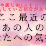 【 厳しい現状でも好転の可能性あります 】ここ最近のあの人のあなたへの気持ち 【 恋愛・タロット・オラクル・占い 】