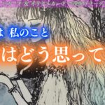 【結ばれるって決まってるお二人がいるよ！】momongaも羨む関係性！あの人はわたしのこと本当はどう思ってる？タロット オラクルカードで深堀りリーディング✨