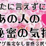 【見た時がタイミング🔔】相手の秘密の気持ち❤️ツインレイ/ソウルメイト/運命の相手/複雑恋愛/曖昧な関係/復縁/片思い/音信不通/ブロック/未既読スルー/好き避け/恋愛/結婚/占い/リーディング/霊視
