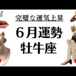 牡牛座は絶対に観なきゃ損だわ。ぜーーんぶ良くなるわ。これ以上ないほど完璧な神運気の流れ来てる2025年6月全体運勢♉️仕事恋愛不安解消評価や印象【個人鑑定級タロットヒーリング】
