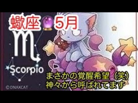 蠍座♏️5月🔮運気上昇！自分を解き放ち自由に羽ばたこう🗽