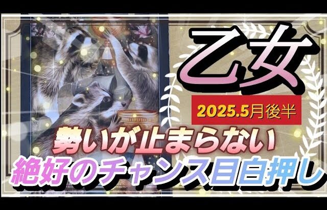 【5月後半🌏】乙女座さんの運勢✨🌙勢いが止まりません💦絶好のチャンスが目白押し