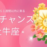 【牡牛座♉️】あなたに来るBIGチャンス🥳星座占いにはおみくじはありませんのでご了承下さい🙇