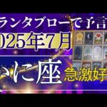 かに座【7月どうなる？】2025年後半運勢✨急激に好転する↑最高の豊かさ受取る　驚きのオファーに歓喜する時　個人鑑定級のグランタブローリーディング（仕事運　金運）タロット＆オラクル＆ルノルマンカード