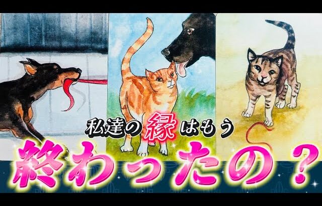 【⚠️深すぎ注意】このままサヨナラ？信じる？あの人との縁はもう終わったのかを視ます✨運命を感じるあの人の気持ち❤️復縁　連絡待ち　細密透視タロット　個人鑑定級✨
