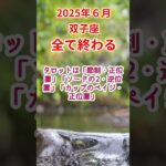 【双子座】2025年6月ふたご座占い #双子座 #ふたご座 #shorts