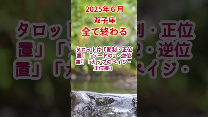 【双子座】2025年6月ふたご座占い #双子座 #ふたご座 #shorts