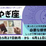 【やぎ座】2025.6月前半🌚【ネガティブ感情をみつめる】