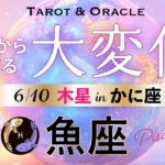 【魚座♓️6月💫木星移動で起こる大変化】これは人生の歩き方が変わる⁈あなたはちゃんと自分の道を進めます👏