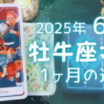 牡牛座さん♉️2025年6月の運勢タロットリーディング✨