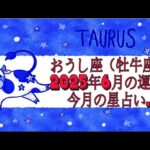 おうし座（牡牛座)・2025年6月の運勢｜今月の星占い.