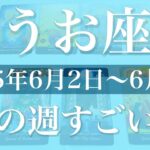 【うお座】1週間の運勢（2025年6月2日〜6月8日）♓️劇的！遂に始まりそう！見えて来る希望の大きさに感動！