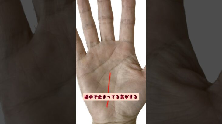 【手相】#運命線 #手相 #手相鑑定 #手相講座 #手相占い