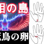 【今すぐ確認！】手相占いで病気と言われていた島の常識が覆る