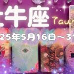 牡牛座★2025/5/16～31★あなたに必要な人たちや物事が複数加わってくる！新しいステージが始まる時（恋愛が特に良いです＆開運ポイント！）