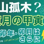 木が強い命式はここに注意！四柱推命