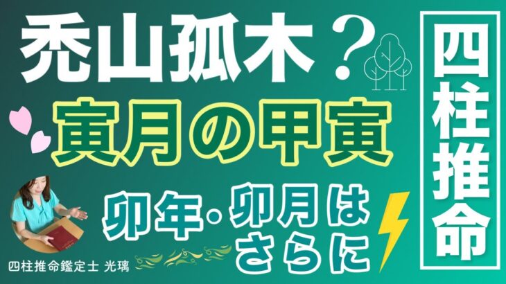木が強い命式はここに注意！四柱推命