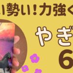 【山羊座】6月♑️すごい勢い‼️障害を乗り越える❗️チカラ強く進んでいく✨サポートされる❗️