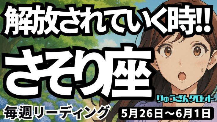 【蠍座】2025年5月26日の週　解放されていく時。ご自身を深く信じて、スタートする。さそり座。タロットリーディング