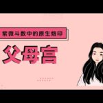父母宫 紫微斗数中的原生烙印 🌳猪猪金水-木目姐姐专栏🌳