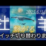 【6月前半🍀】牡羊座さんの運勢🌈繋がる✨スイッチ切り替わります💙🩵
