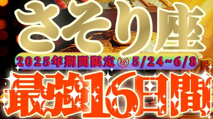 最強16日間【蠍座♏】これをやれば絶対に最強の運勢になるよ！！神様に好かれまくる最強のアナタ様！！【天一天上】神々のシナリオシリーズ　#タロット占い