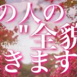 【恋愛】あの人の全貌暴きます🫣♥️💦⚠️タロットリーディング